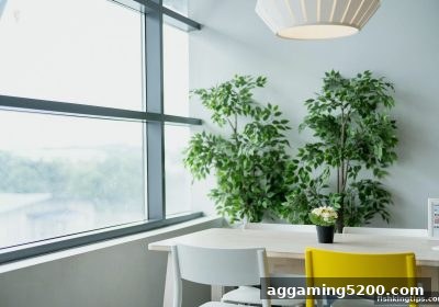 真人荷官游戏策略指南：捕鱼王游戏教会你的计划思维