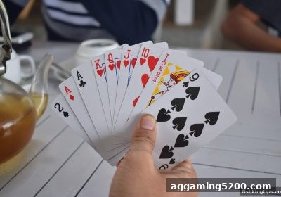 掌握Evolution真人游戏术语，捕鱼王游戏玩家必读的互动秘籍