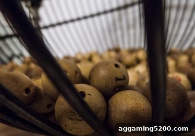 捕鱼王游戏教你风险管理：体育彩票娱乐的持久之道