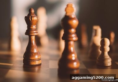 捕鱼王游戏推荐：国际象棋棋具选购与保养完整指南