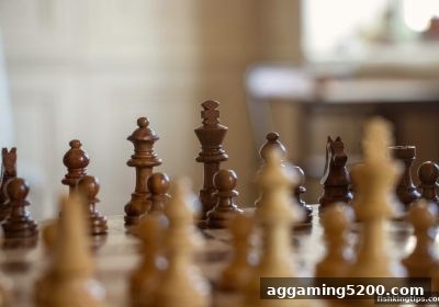 捕鱼王游戏带你深入解析：围棋气与目数的实战思维法则