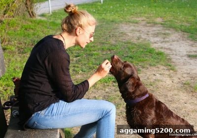 捕鱼王游戏视角：玩家忠诚度奖励计划深度解析与资金安全指南