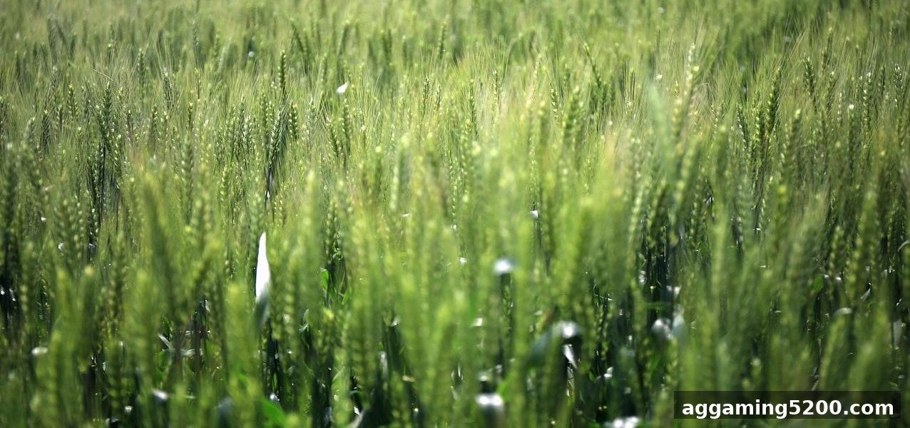 捕鱼王游戏新手福利：首存红包深度解析与注册优惠全攻略