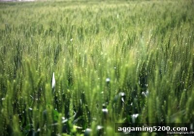 捕鱼王游戏新手福利：首存红包深度解析与注册优惠全攻略