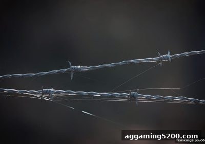 捕鱼王游戏玩家必读｜出款困难真相与高效应对指南