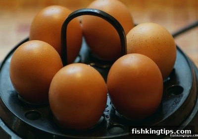 分分彩旋转玩法深度剖析：概率逻辑与捕鱼王游戏的共通智慧